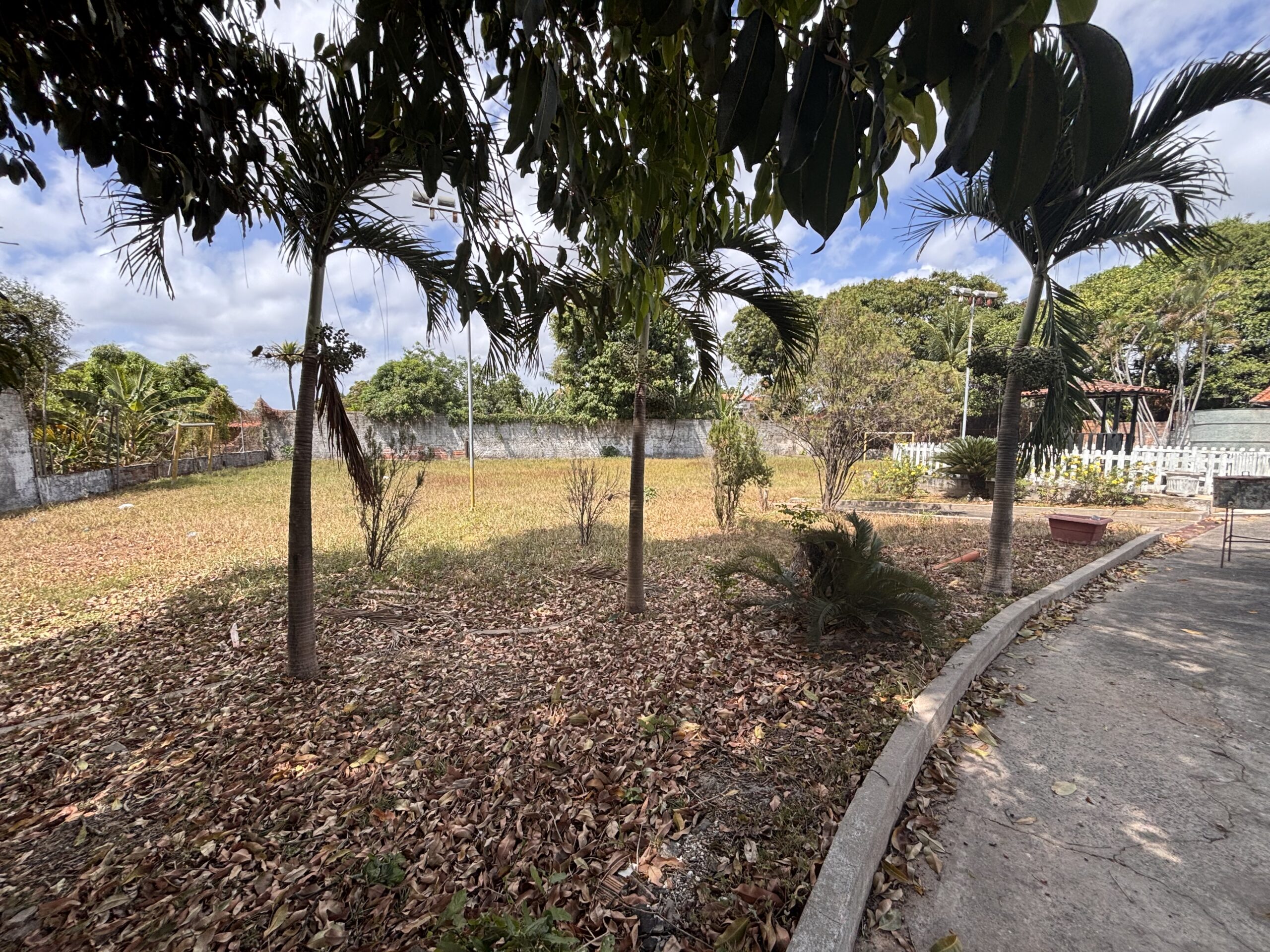 IMG_2111 - Joubert Júnior