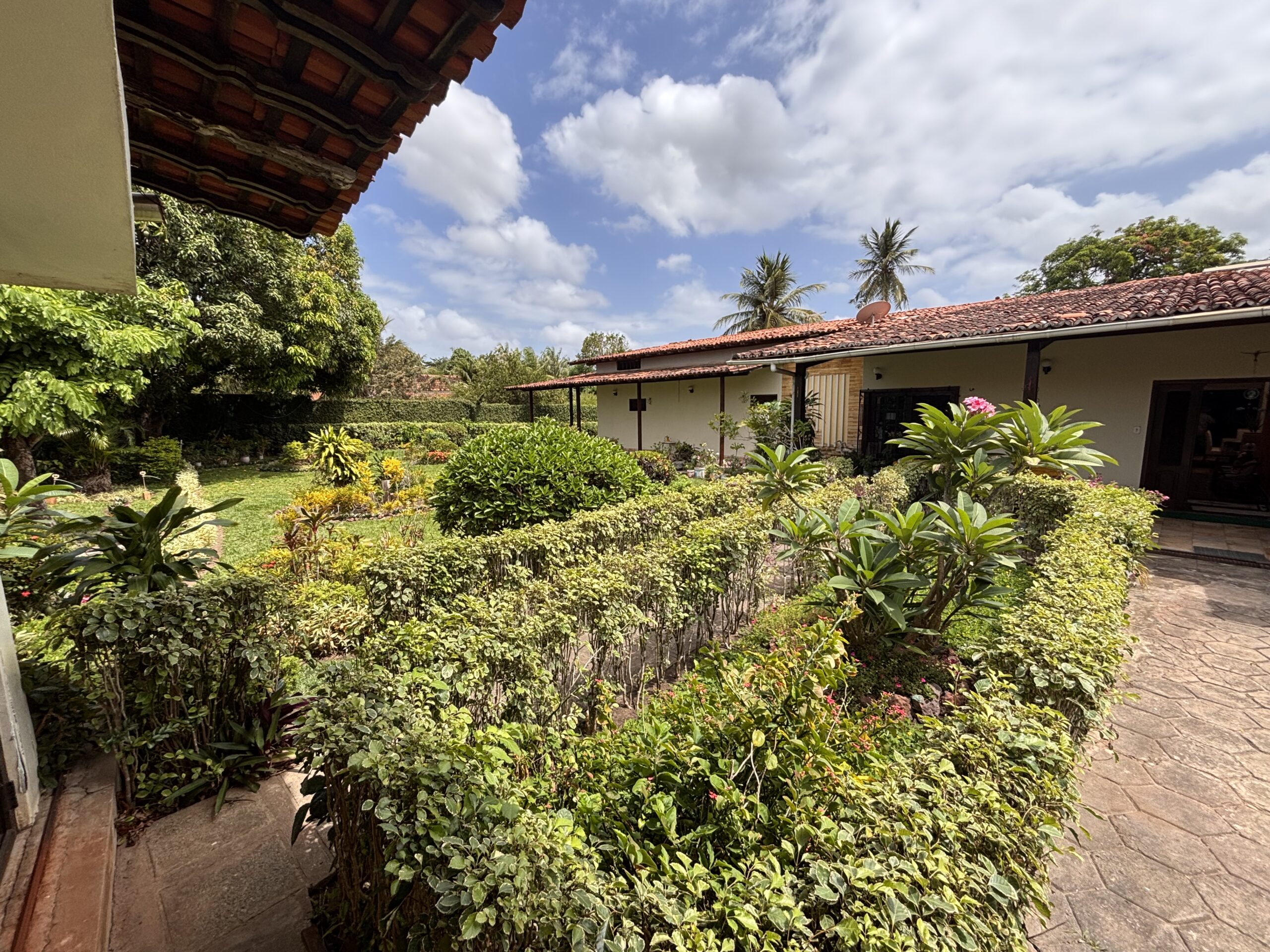 IMG_8696 - Joubert Júnior