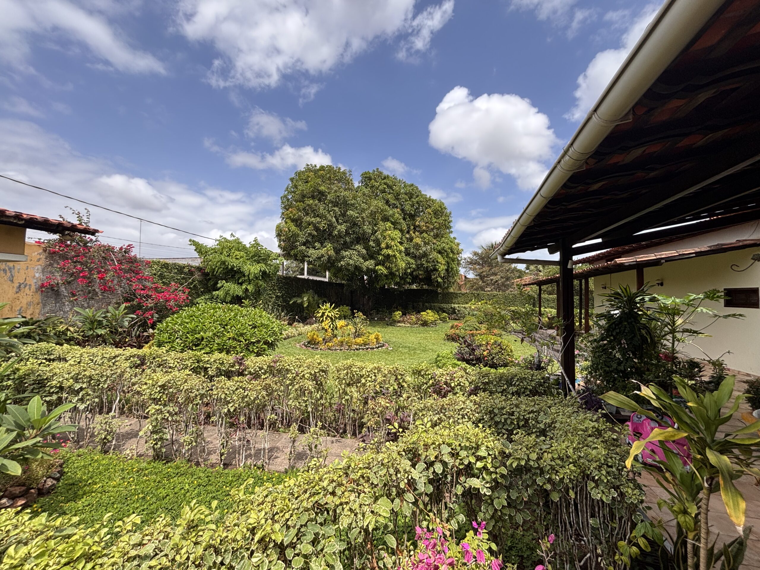 IMG_8698 - Joubert Júnior