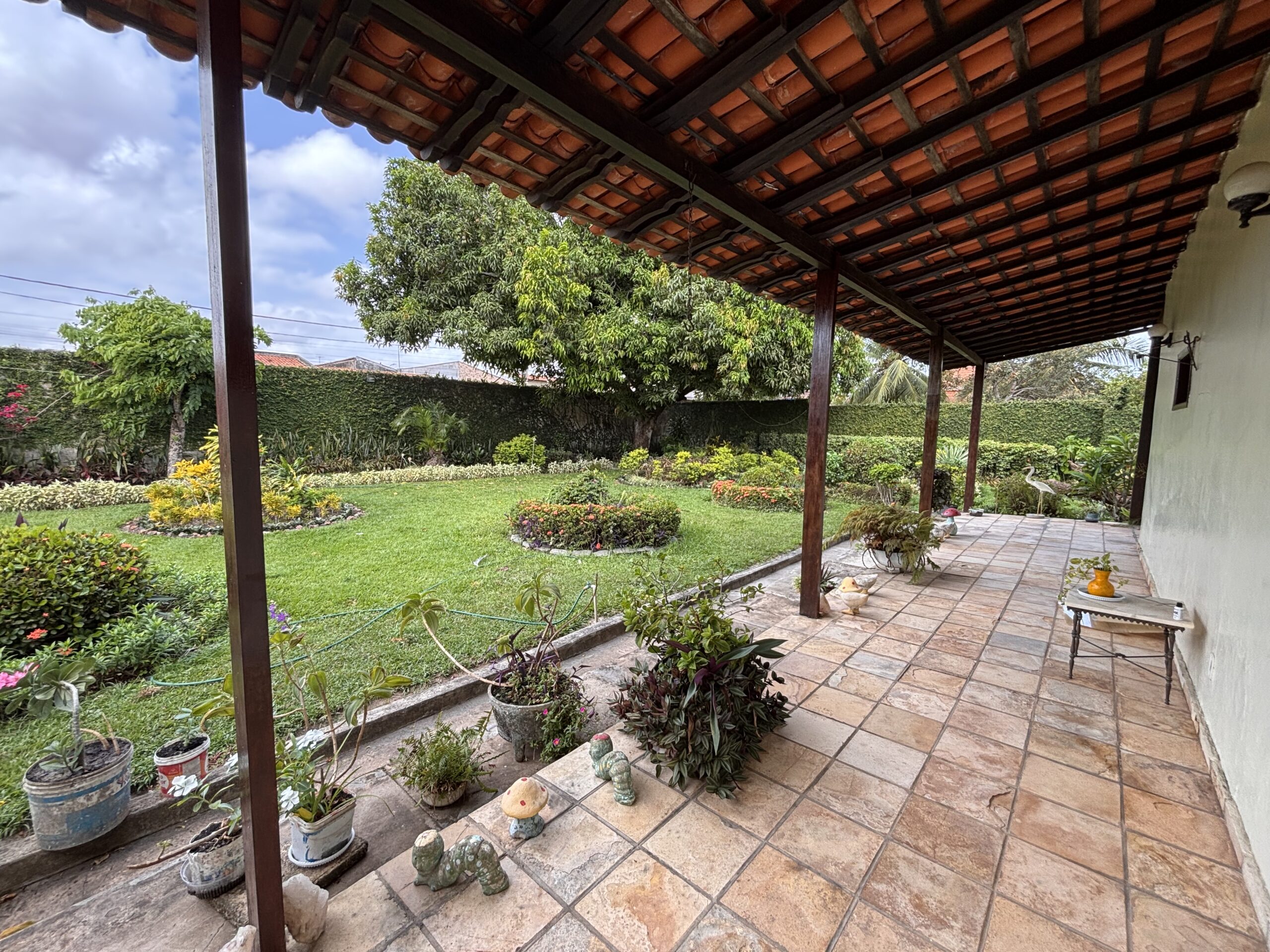 IMG_8699 - Joubert Júnior