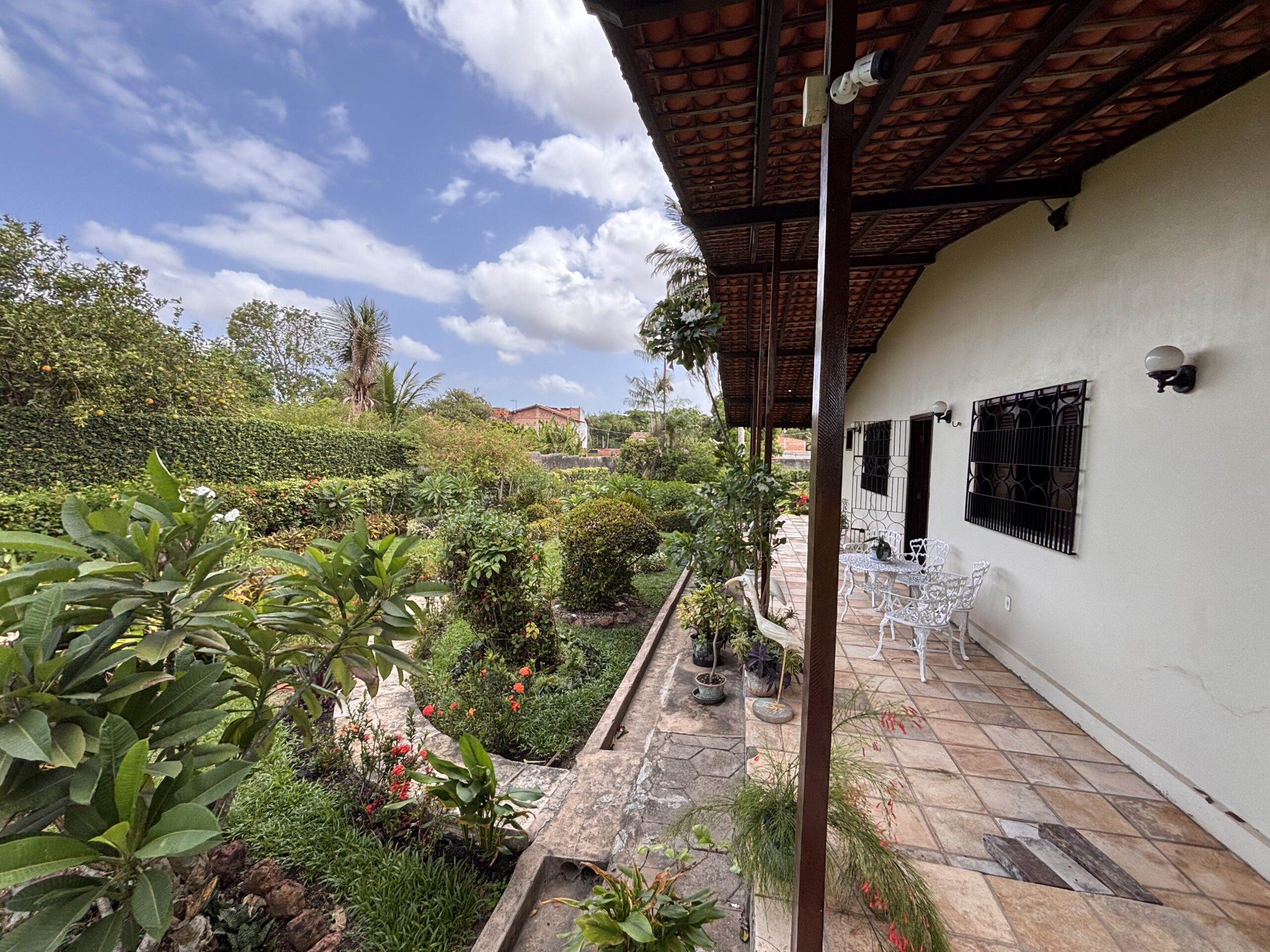 IMG_8700 - Joubert Júnior