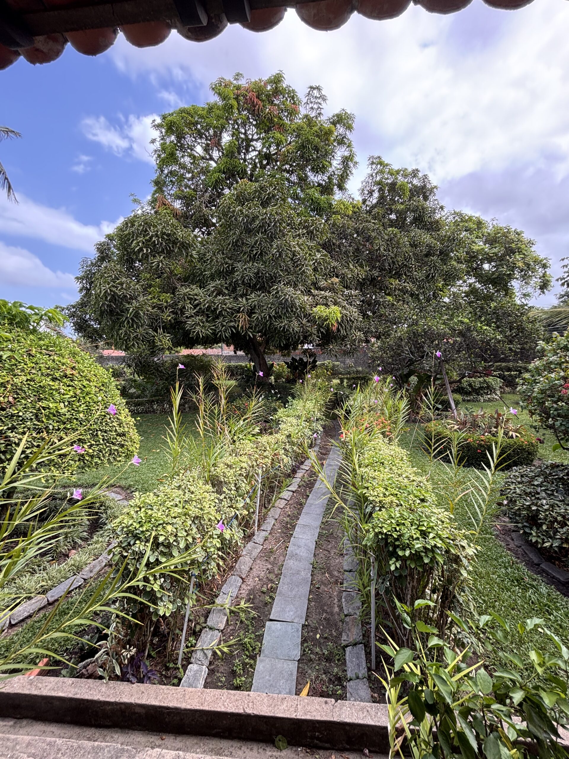 IMG_8702 - Joubert Júnior