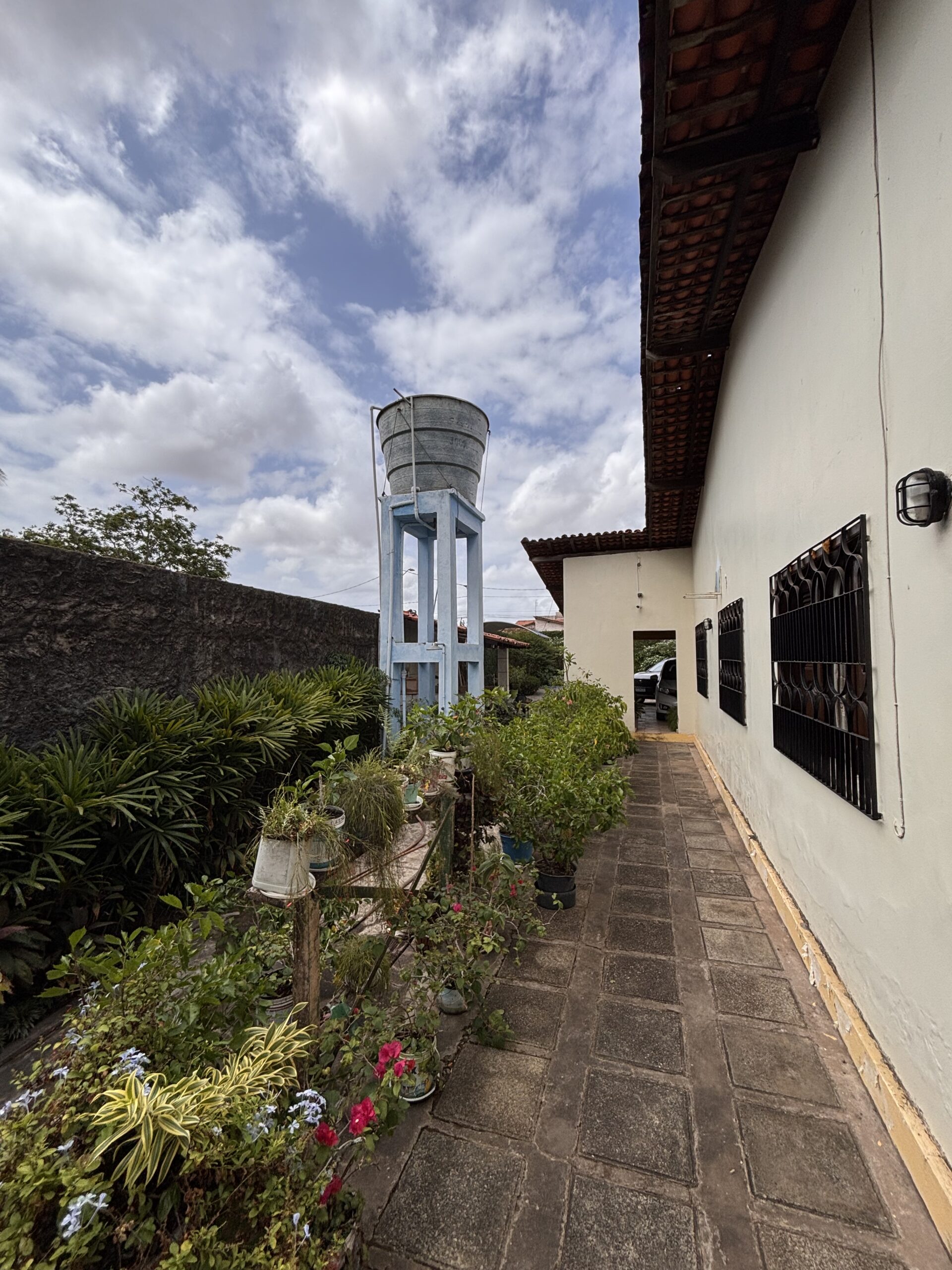 IMG_8703 - Joubert Júnior